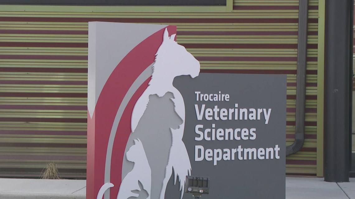 Trocaire College offering scholarships for new nursing, veterinary technician students