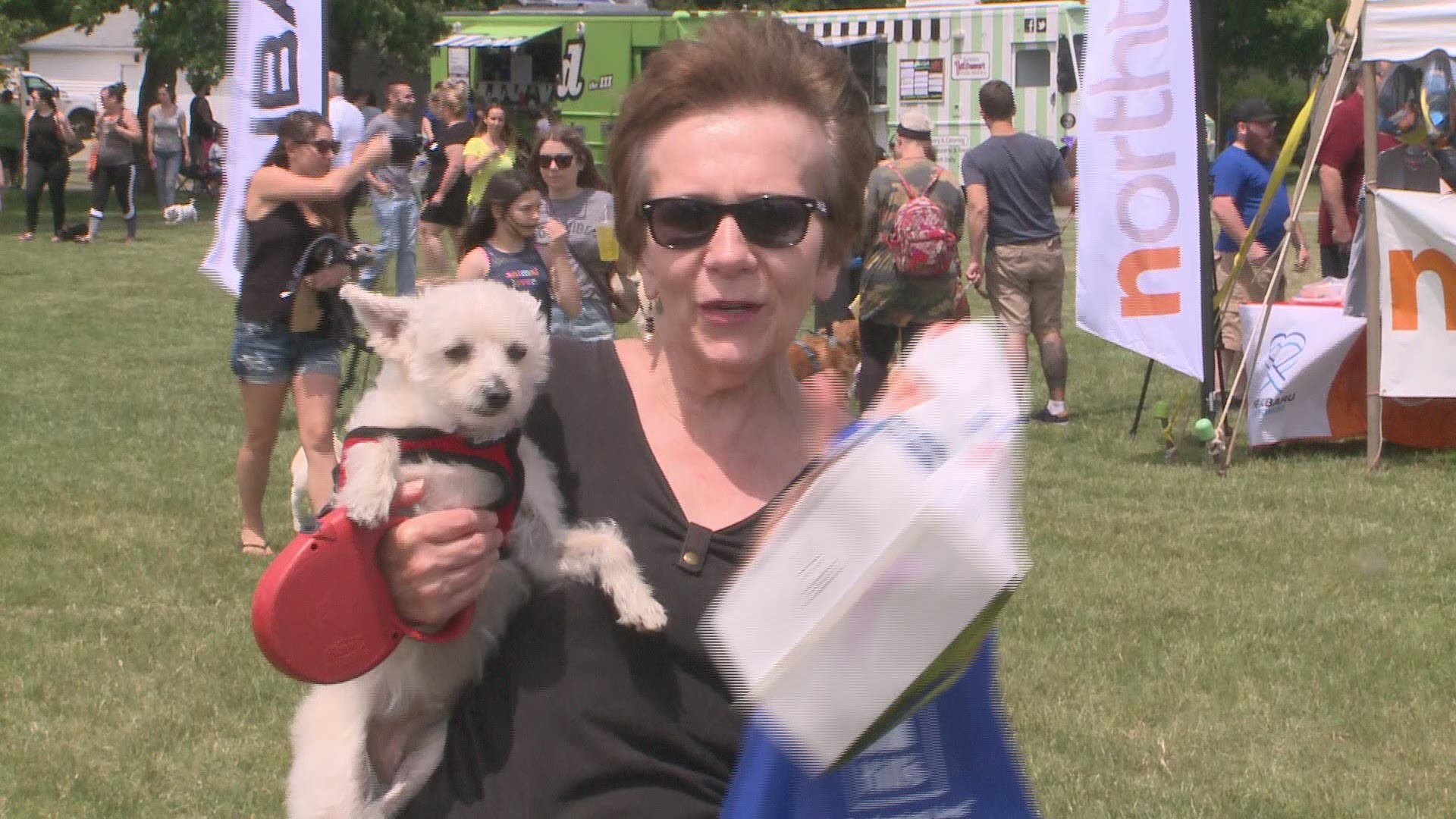 The free event hosted every year at Mang Park celebrates dogs and the enjoyment they bring to our lives! volunteers with the Kenmore Village Improvement Society also were on hand to showcase area rescue groups, animal care services, and dog related vend