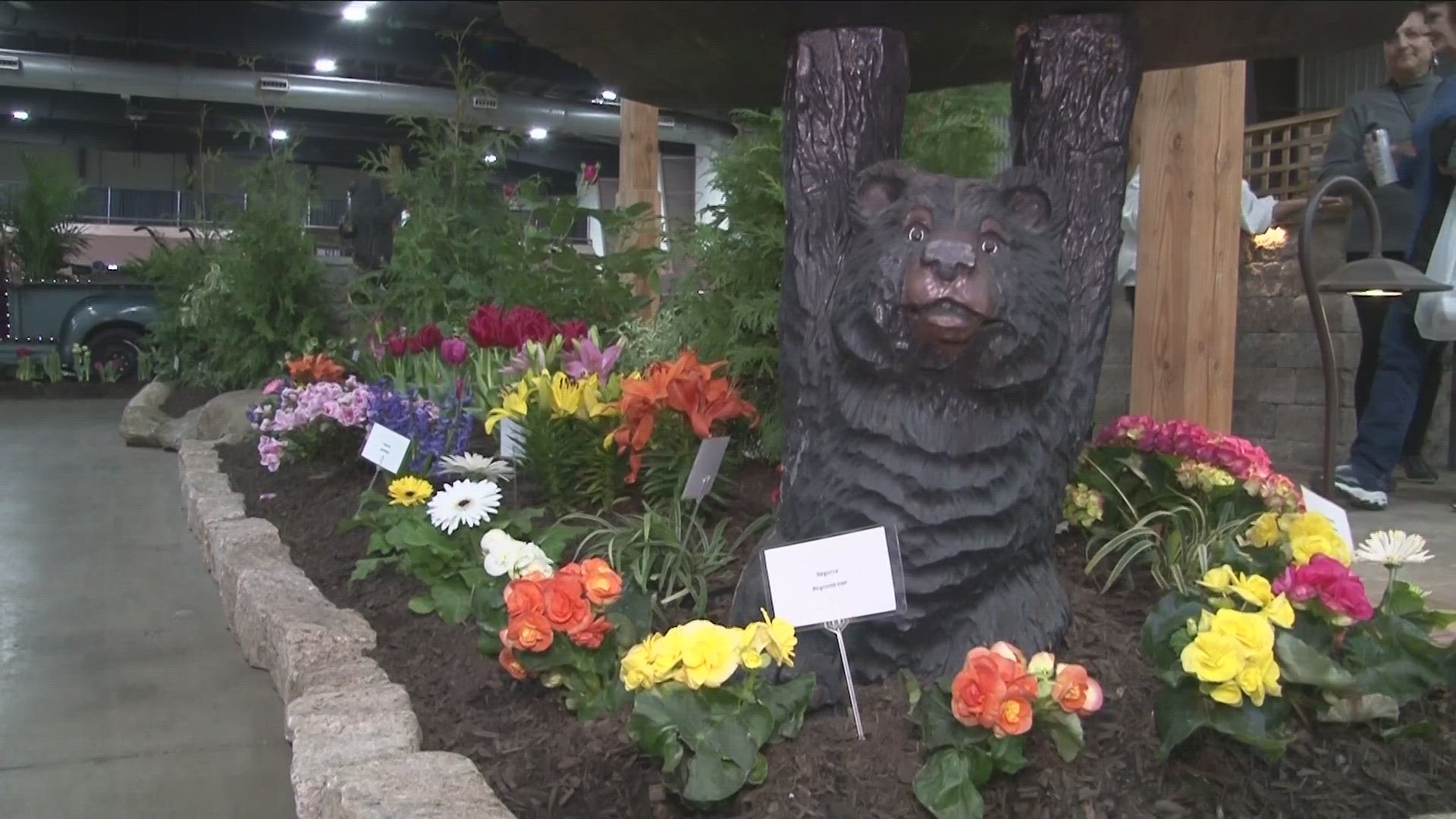Most Buffalo: 'Plantasia happening at Erie County Fairgrounds'