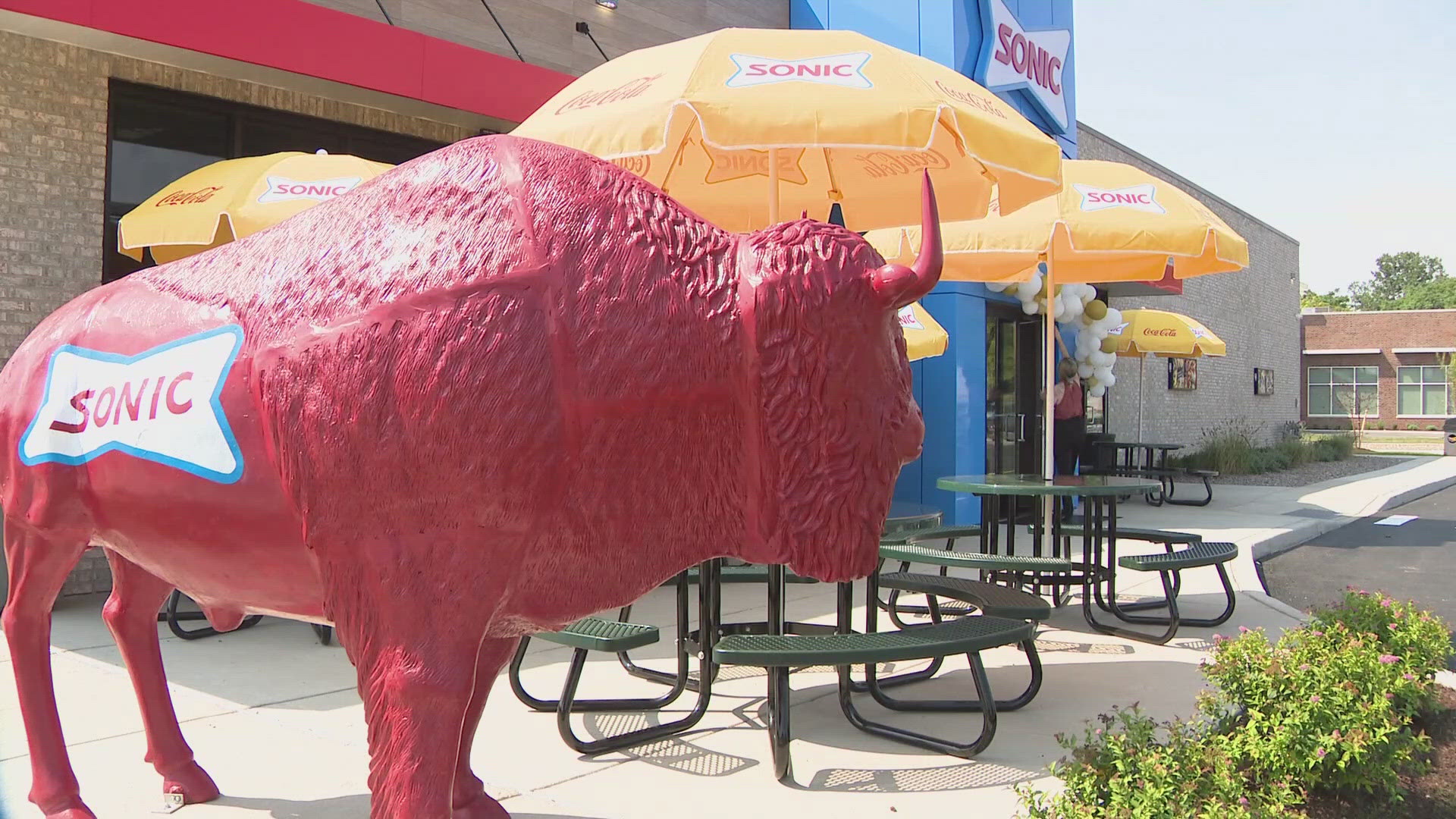 Sonic Drive-In plans for Niagara Falls canceled due to disagreements.