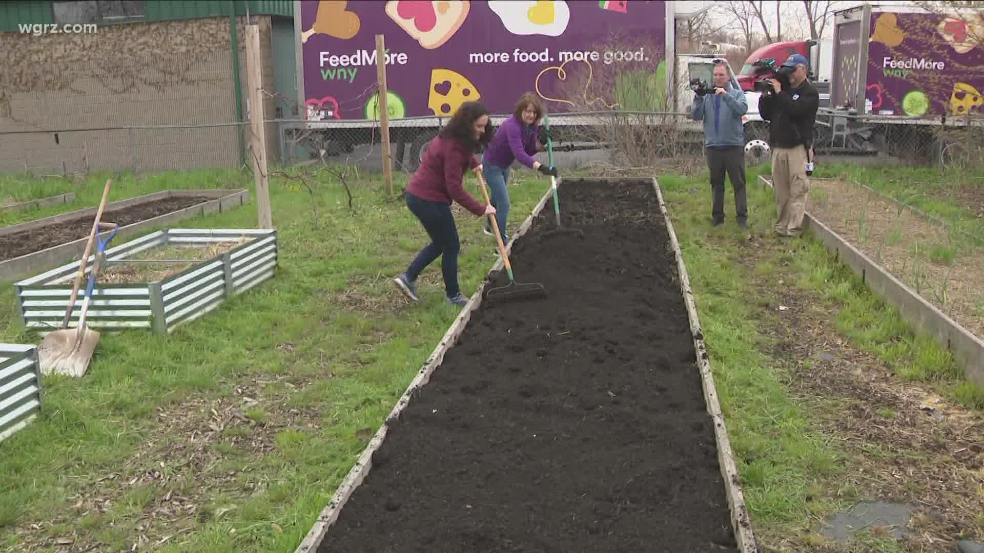 Feedmore WNY adds compost to community garden