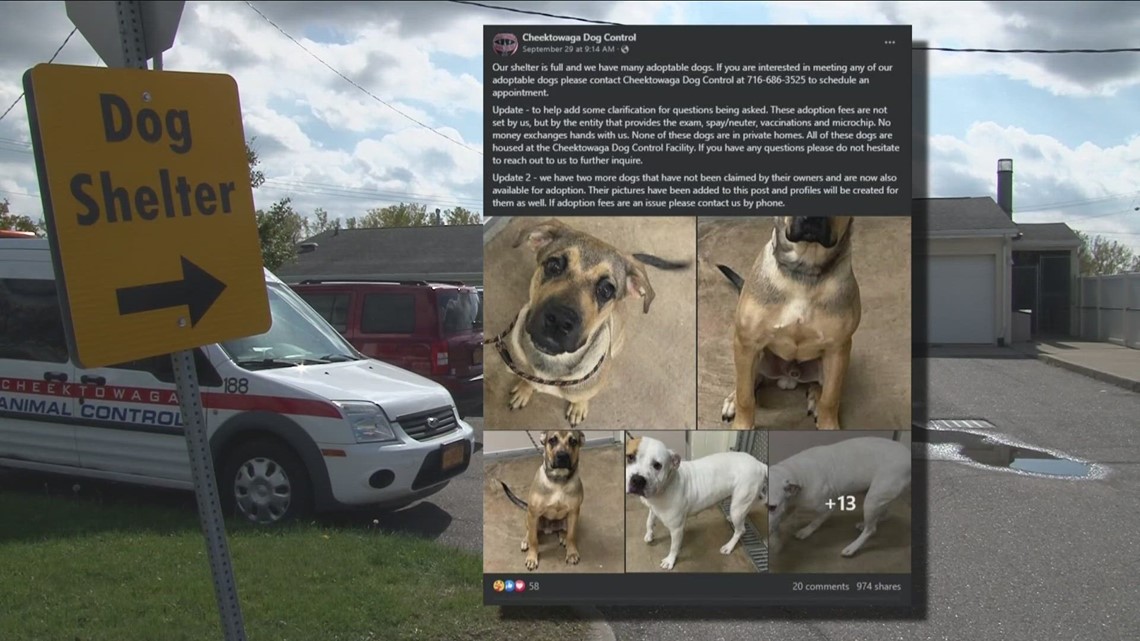 No, Cheektowaga Police will not be euthanizing dogs who aren't adopted