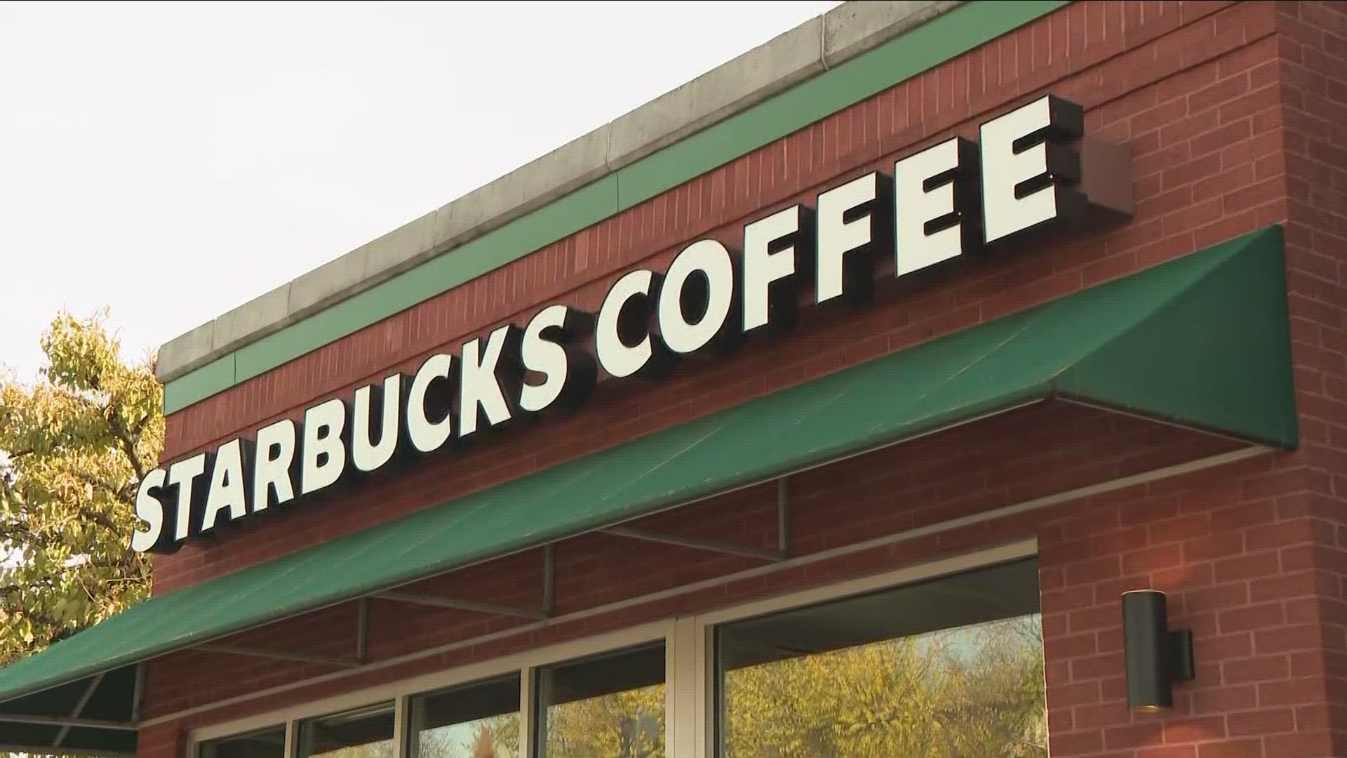 Starbucks workers at the Elmwood store were part of a nationwide strike on Red Cup day