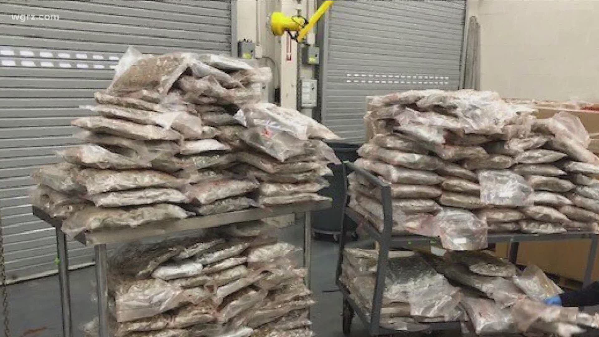 over 41,000 pounds of marijuana. that in and of itself is an increase of 11-hundred percent over the previous year