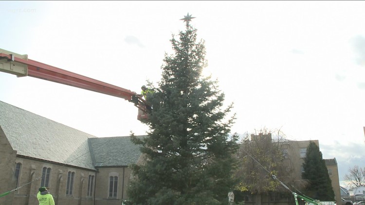 Hertel Christmas Walk 2022 Hertel Avenue Tree Lighting Ceremony Set For Friday | Wgrz.com