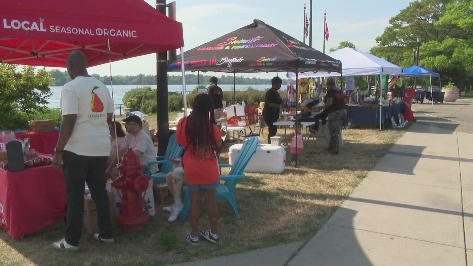 The event was organized by "The Friends of Freedom Park."