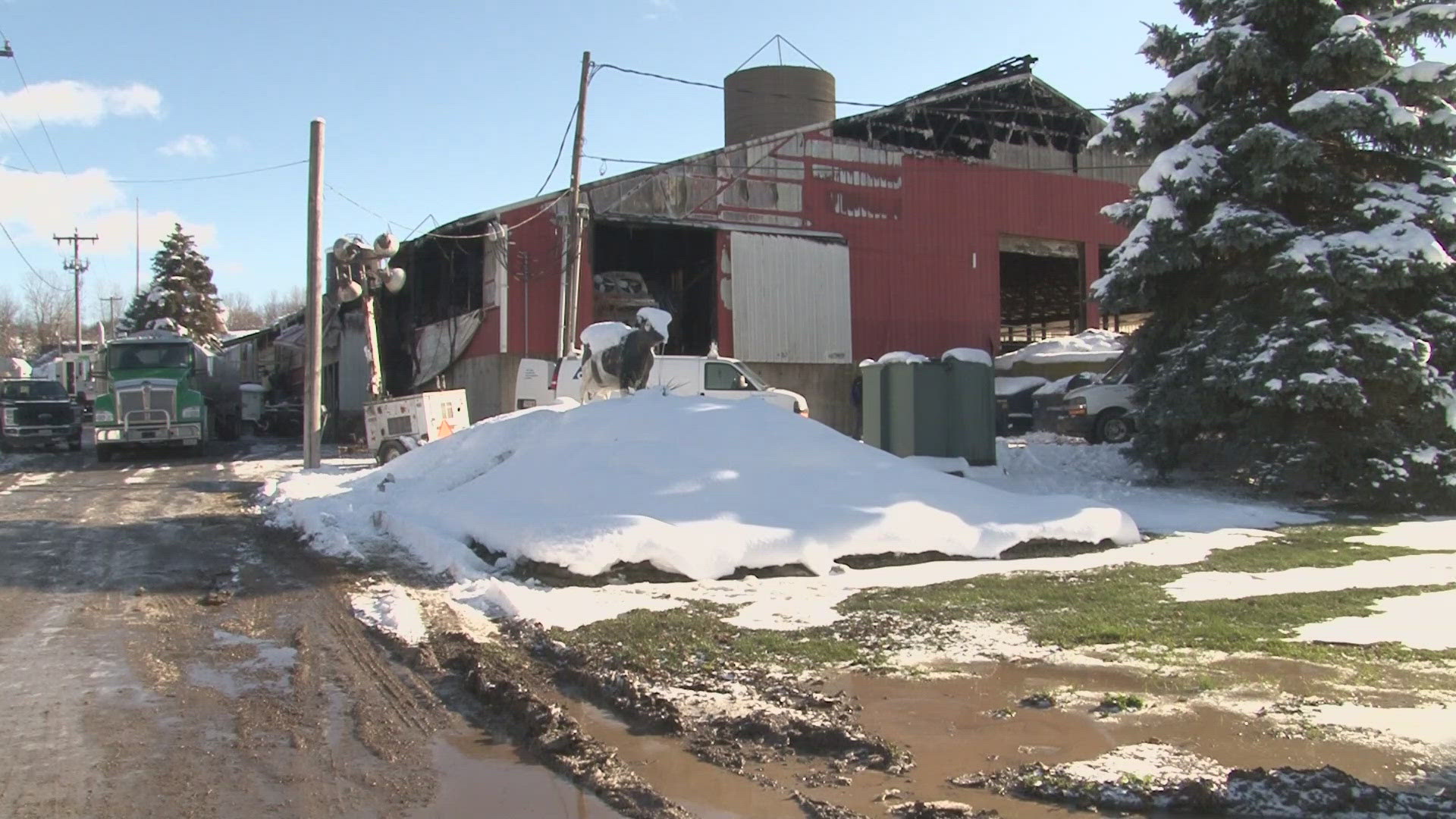 Workers here who milk the cows were able to relocate all of the cattle tin the barn to safety as crews battled the large fire.