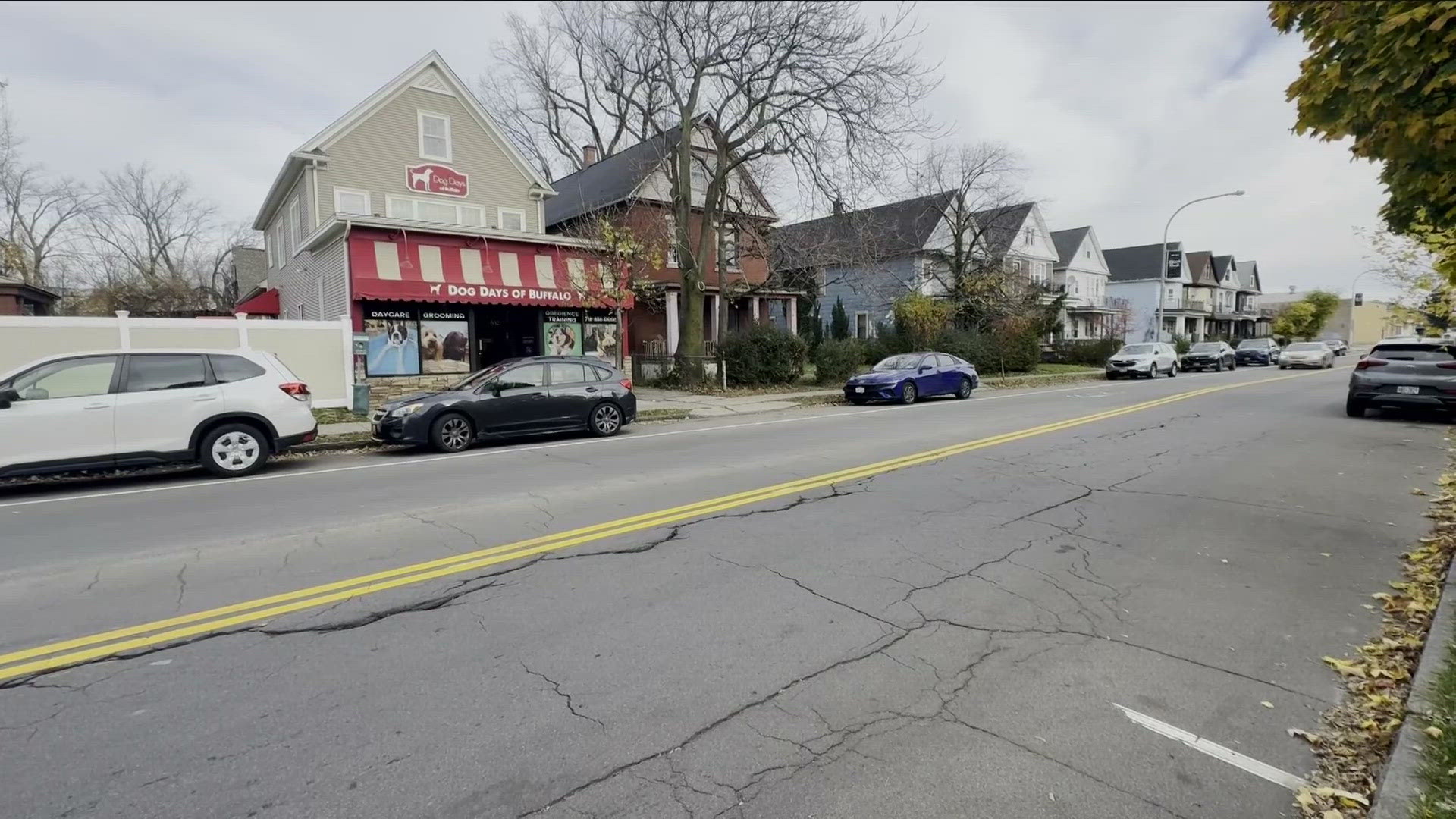 The team at Dog Days of Buffalo and residents on Amherst St. near Wegmans are questioning the city DPW's decision to restripe the street and remove parking spots.