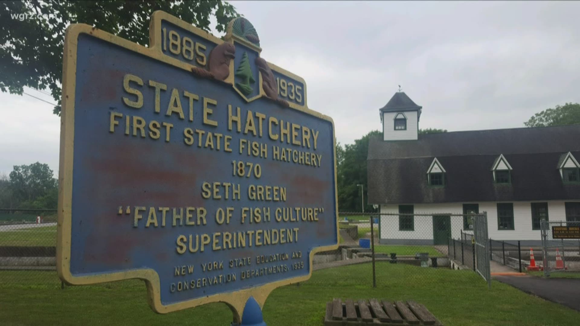 The Caledonia Fish Hatchery produces 90% of the Brown Trout released in New York.