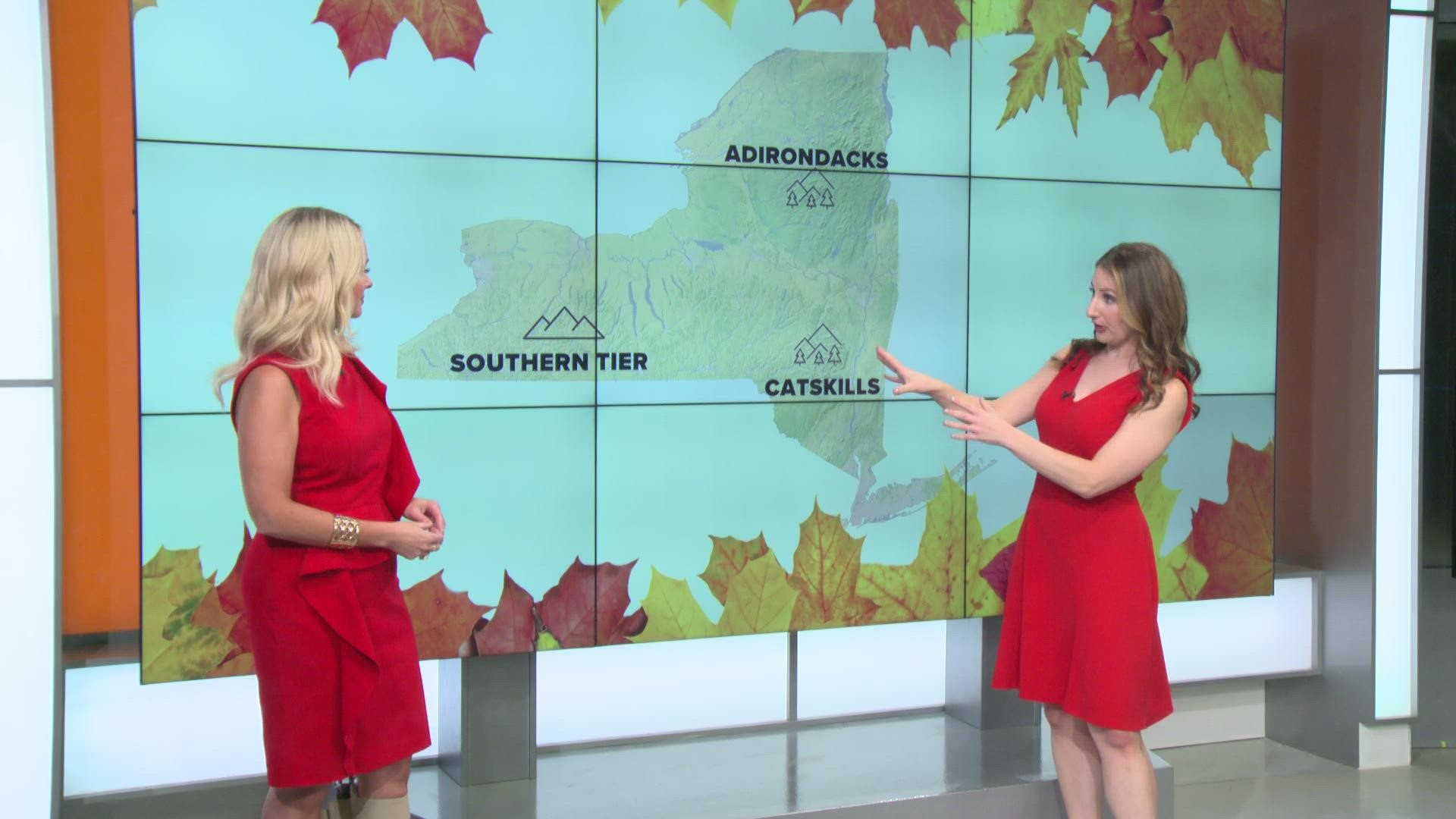 Storm Team 2 Meteorologist Elyse Smith explains this year's fall foliage outlook.