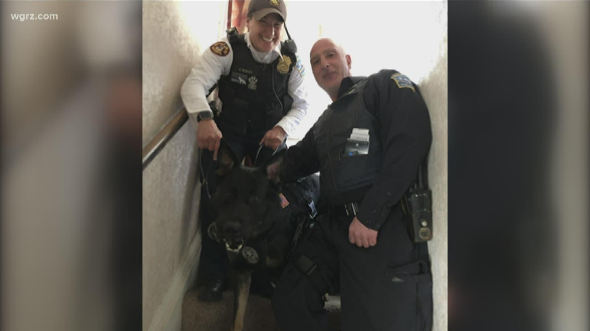 Police tracked him to a home in North Buffalo... where they say  Lt. Elizabeth Baker and K-9 Paddy were able to find him hiding under
