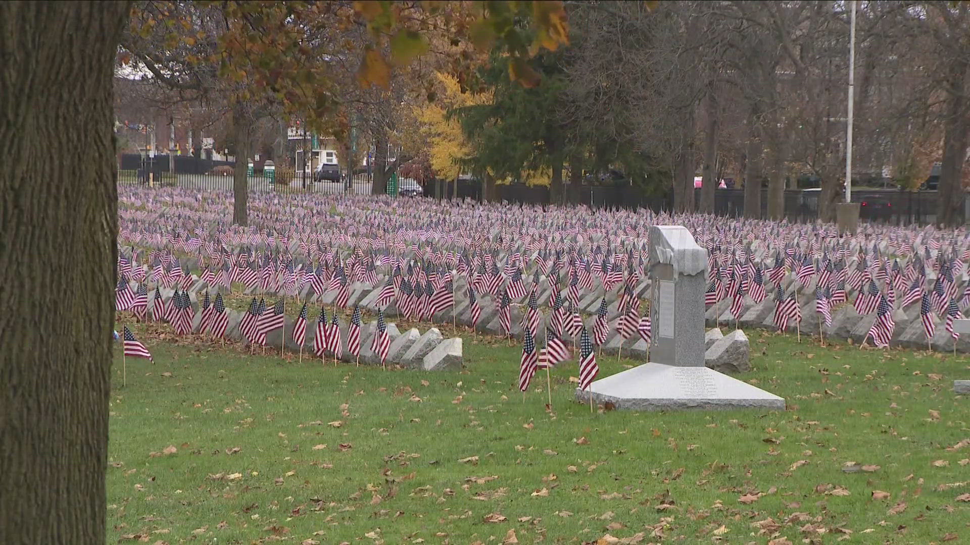 Flags placed at field of valor in Forest Lawn cemetery 