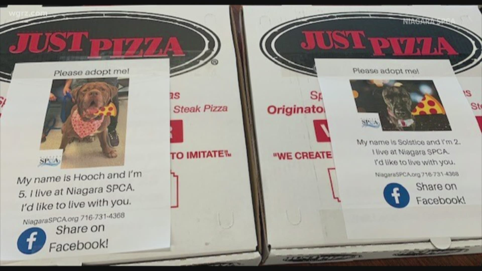 Customers who order from Just Pizza on Saturday and Sunday will find their box tops with a flier featuring an adoptable dog.
