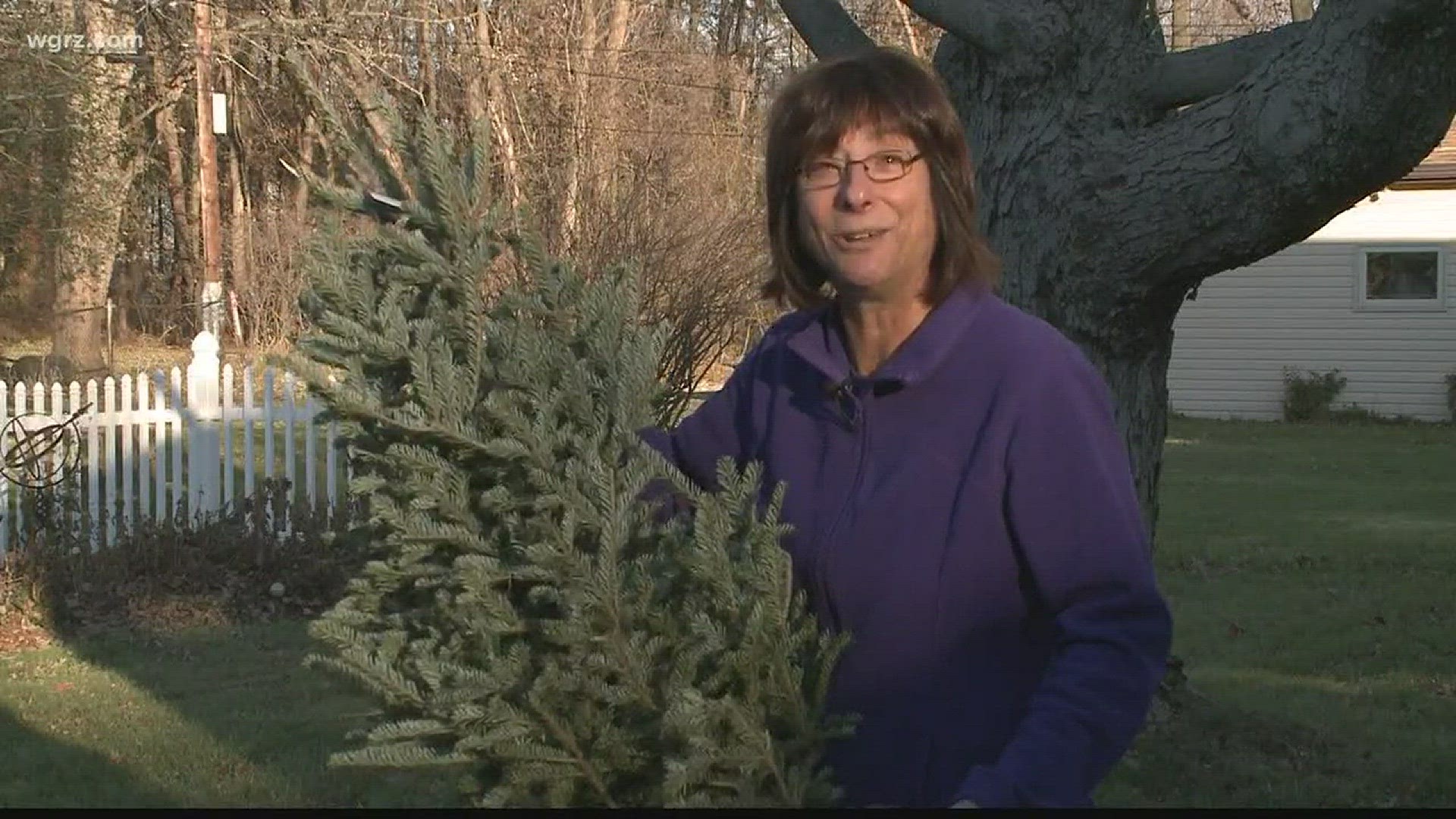 Jackie offers helpful Christmas tree tips in this week's 2 The Garden