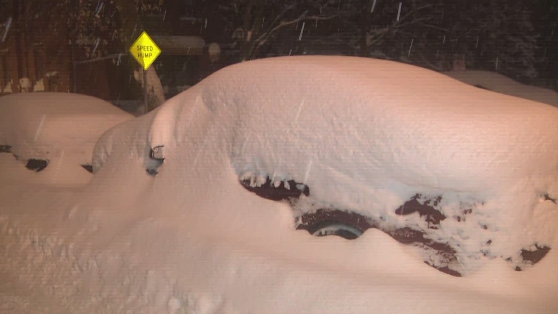 How much snow did Buffalo get last night?