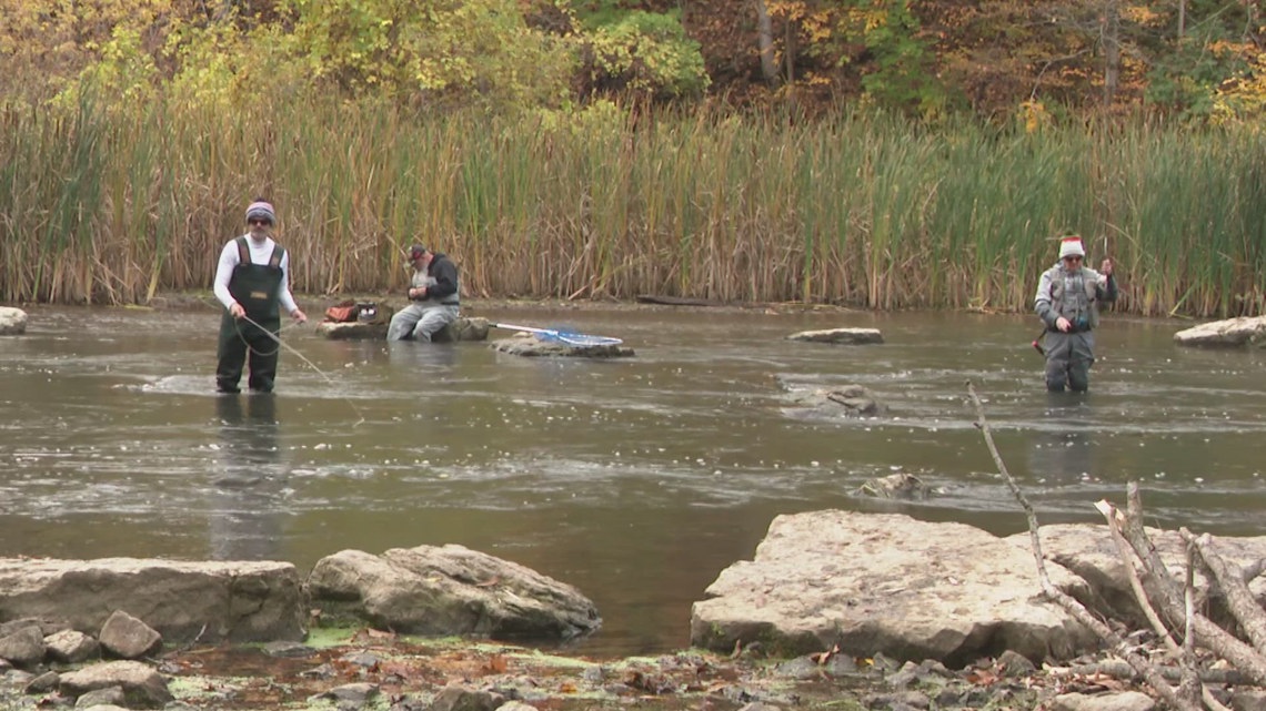 Property dispute along 18 mile Creek pits Town of Newfane against landowner