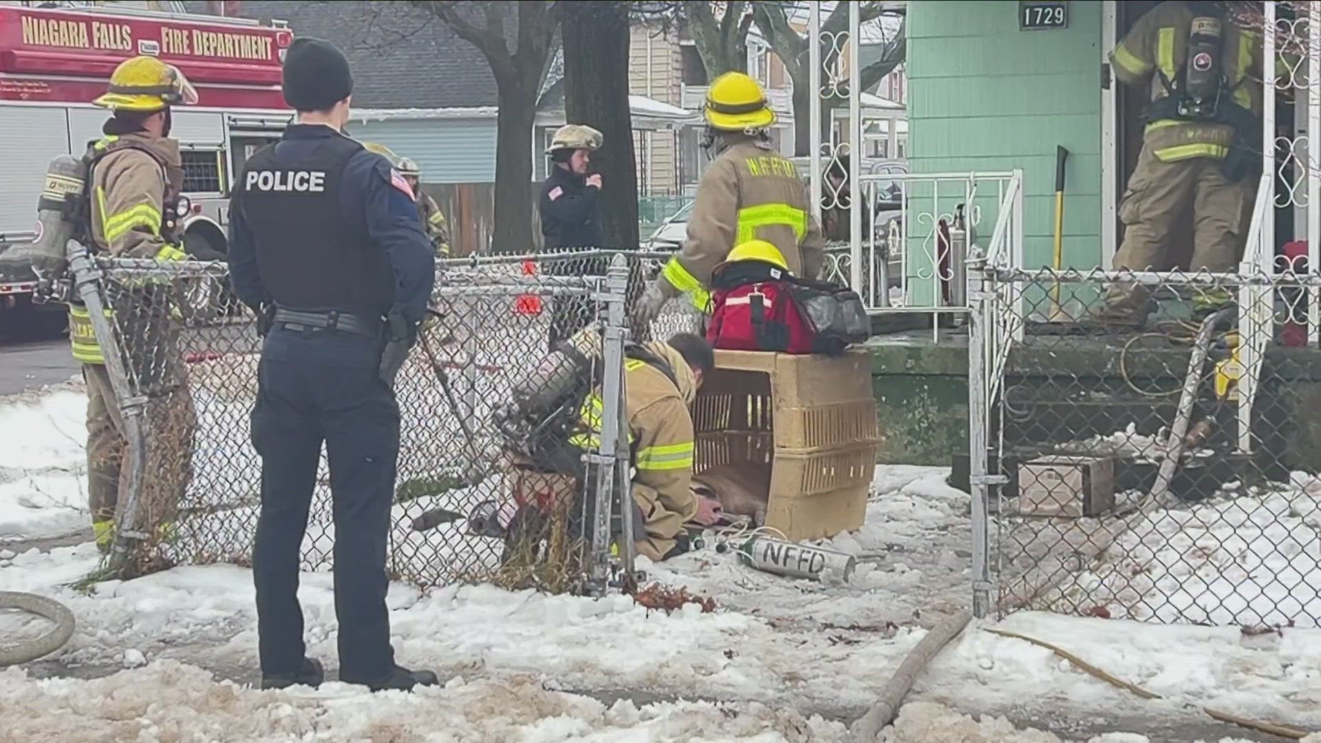 the 13-year-old dog inside a crate. Once they got her outside... they gave her oxygen through a breathing mask...