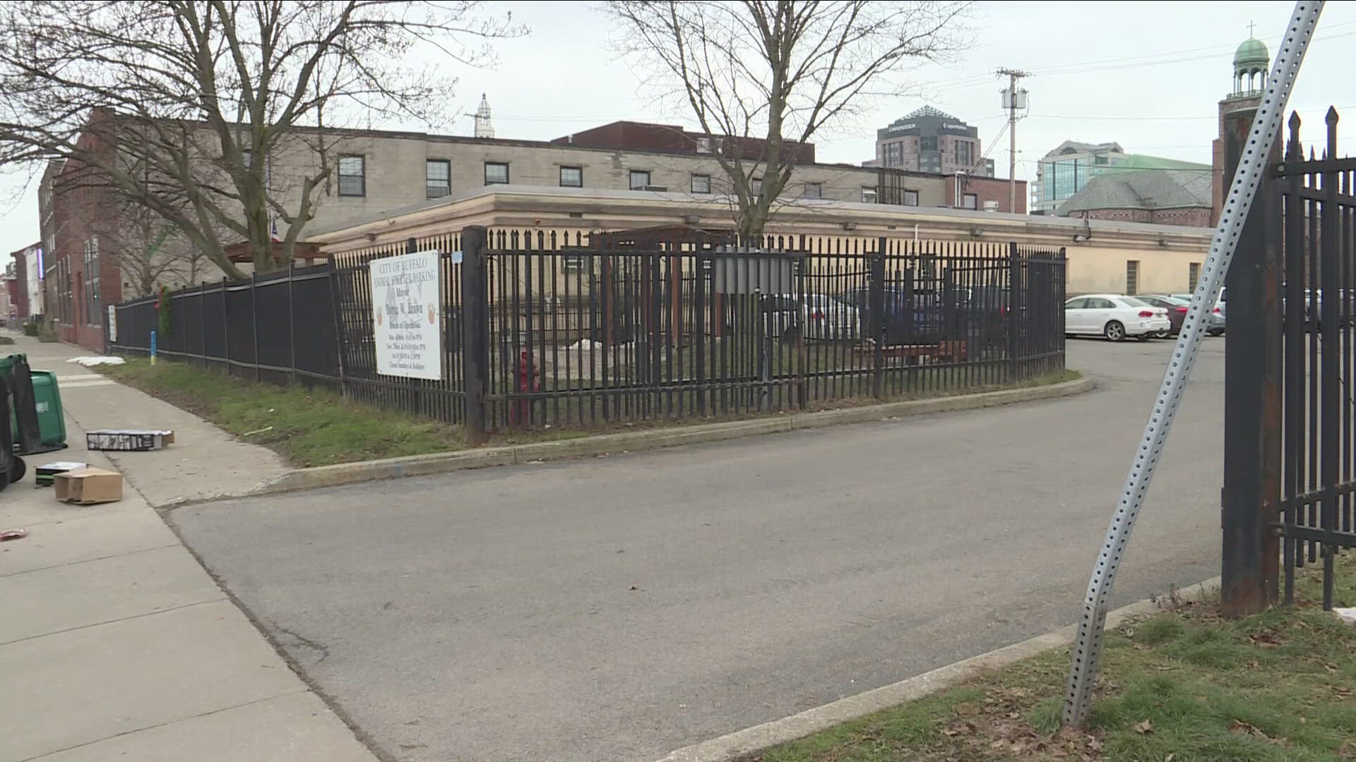 Buffalo Animal Shelter conditions questioned