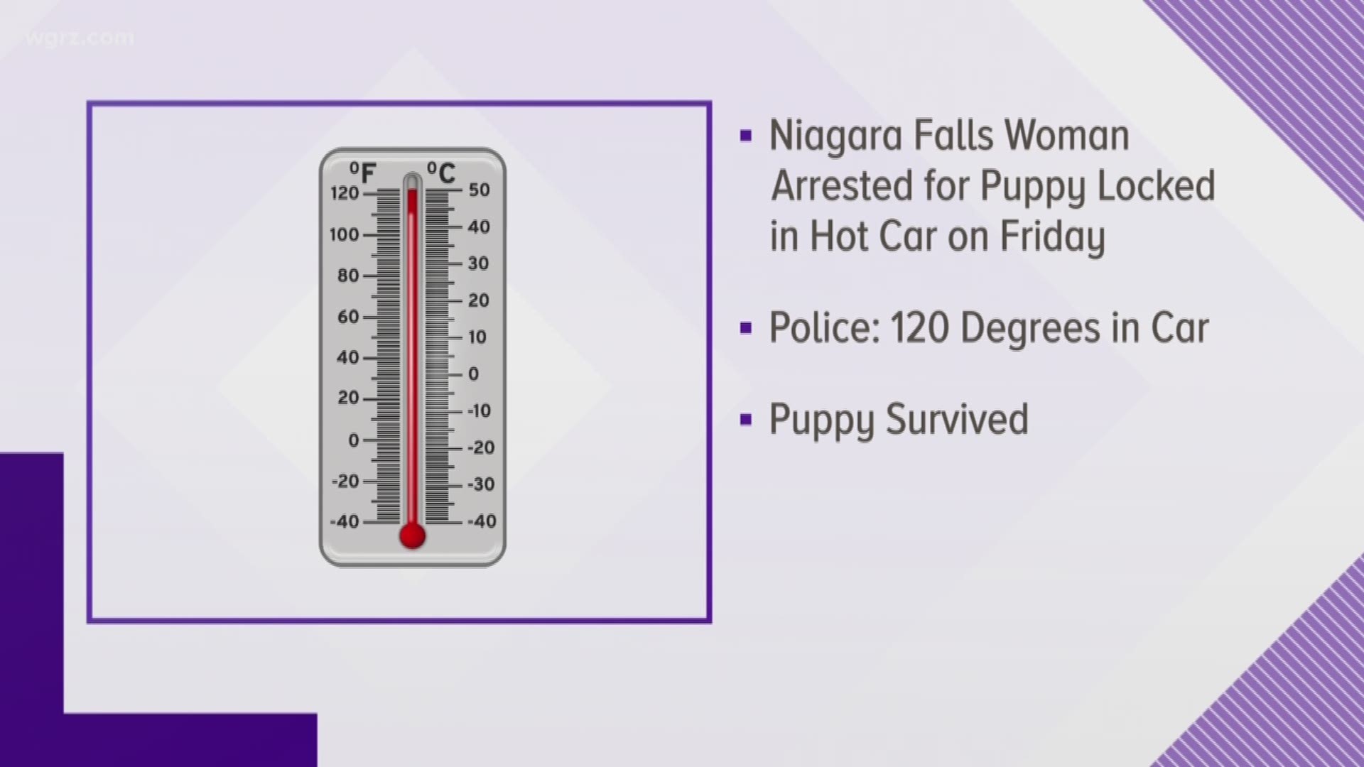 Falls woman arrested after puppy found in hot car