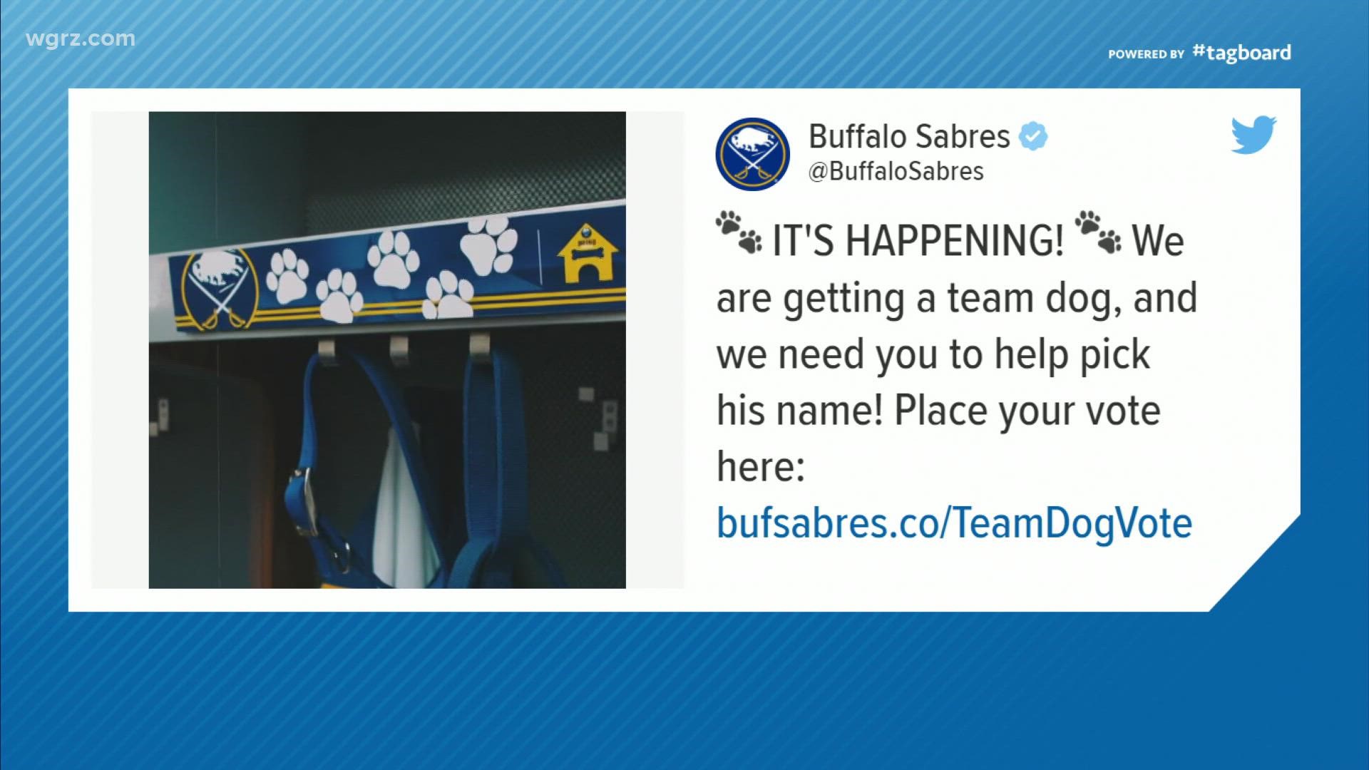 The Sabres are getting ready to welcome a new furry friend to their roster.