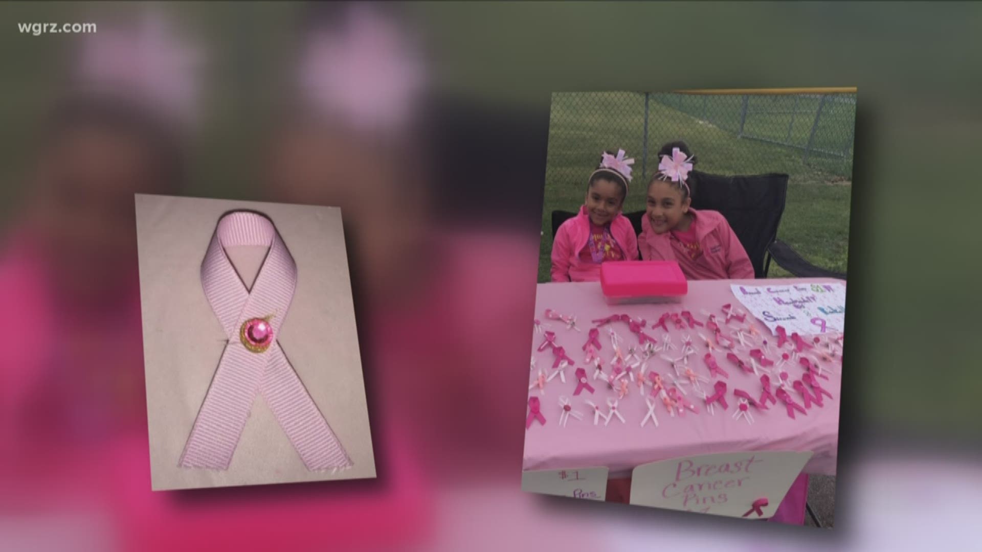 Two young sisters from Lackawanna are celebrated tonight with an award from the New York State Senate for raising money and awareness about breast cancer.