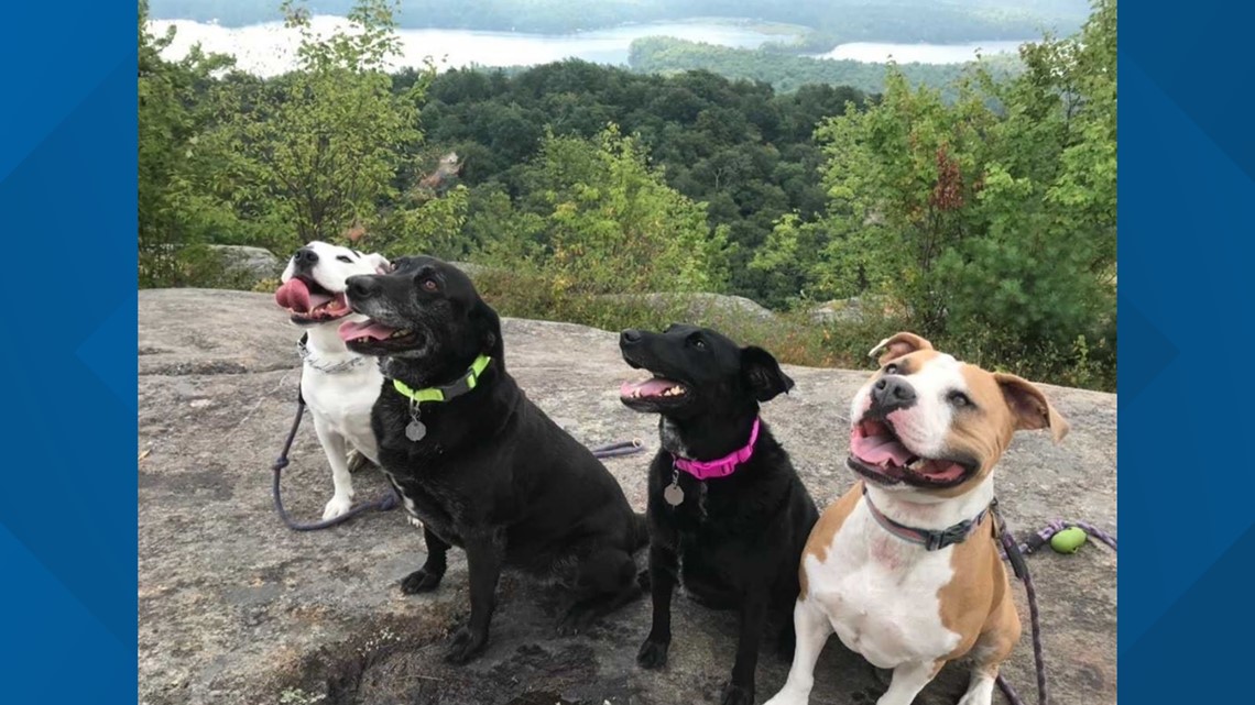 Dog friendly outlet hikes adirondacks