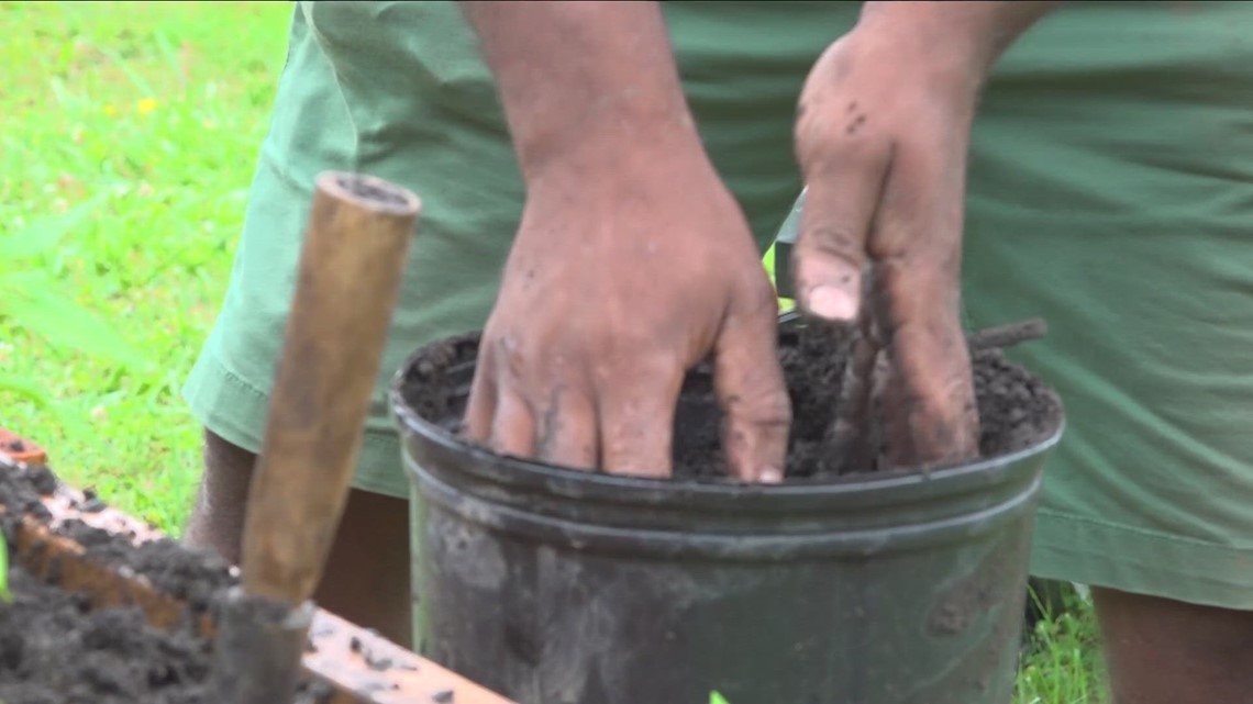 Local organizations turning guns into gardening tools - Vimarsana News