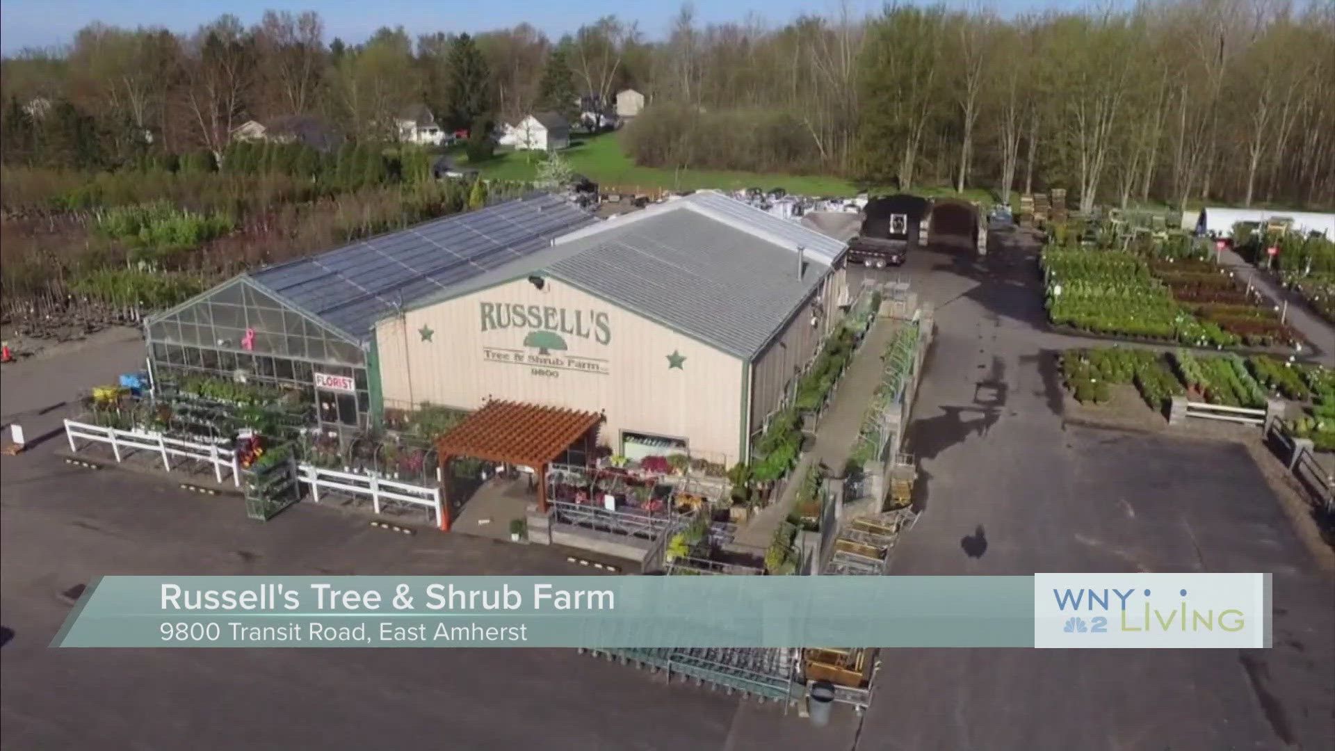 WNY Living - April 26 - Russell's Tree & Shrub Farm THIS VIDEO IS SPONSORED BY RUSSELL'S TREE & SHRUB FARM