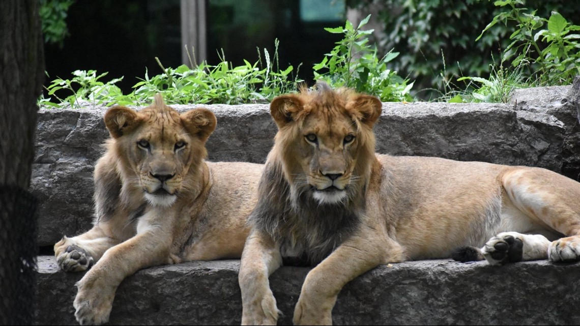 PHOTOS National Zoo Day