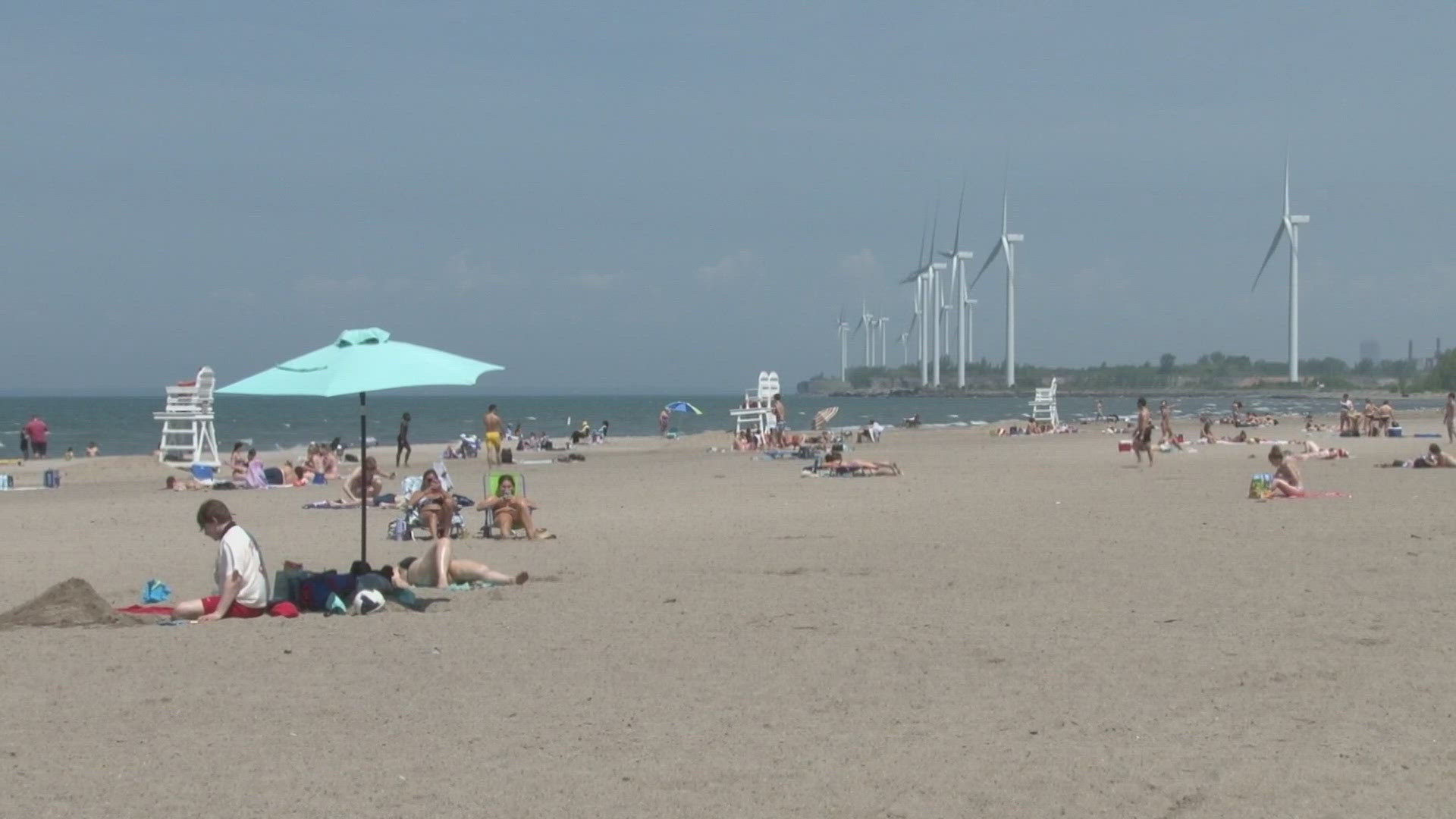 Woodlawn Beach Park: Party turns into fight