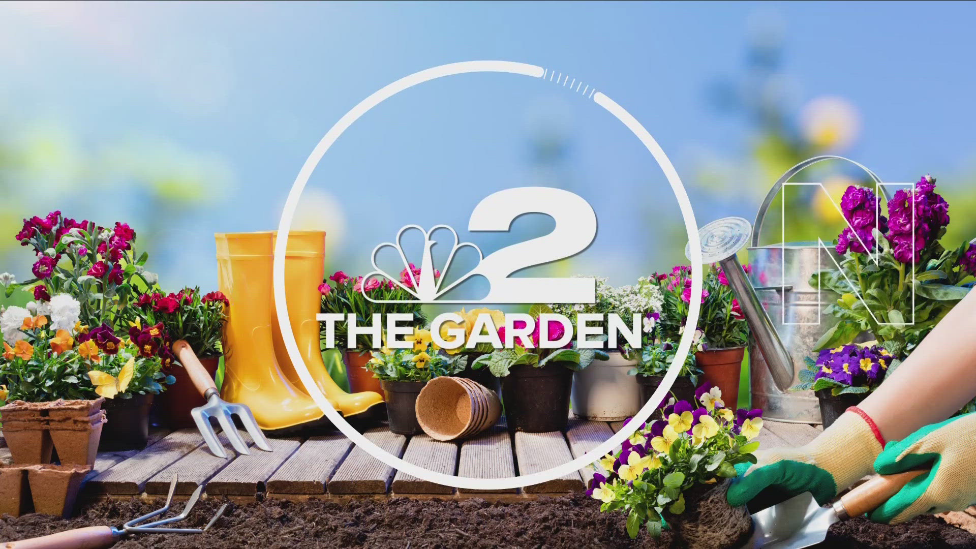 Jackie Albarella takes us 2 the Garden and shows us how to keep your herbs happy and healthy all summer long.