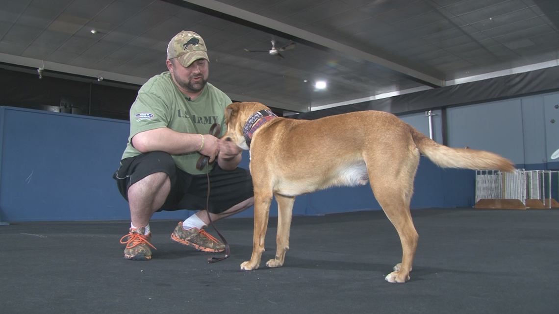 Pawsitive for Heroes Service dog training for veterans