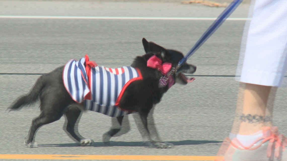 GALLERY West Seneca Memorial Day parade and ceremony