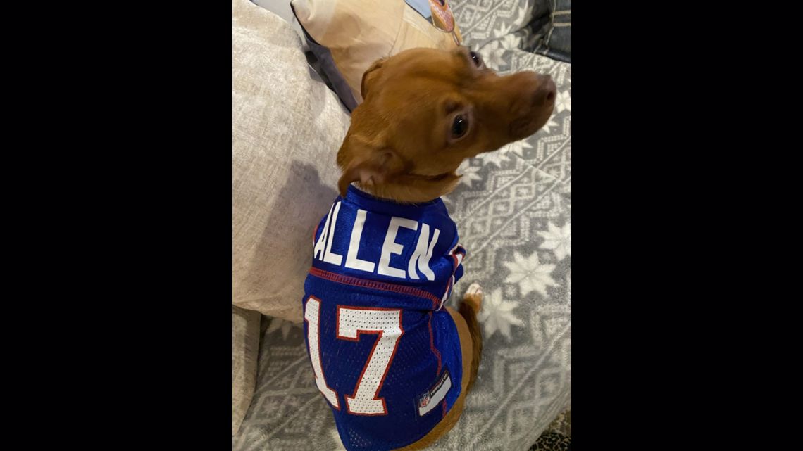 Lucky Dog Pet Company Buffalo Bills Diggs Jersey S