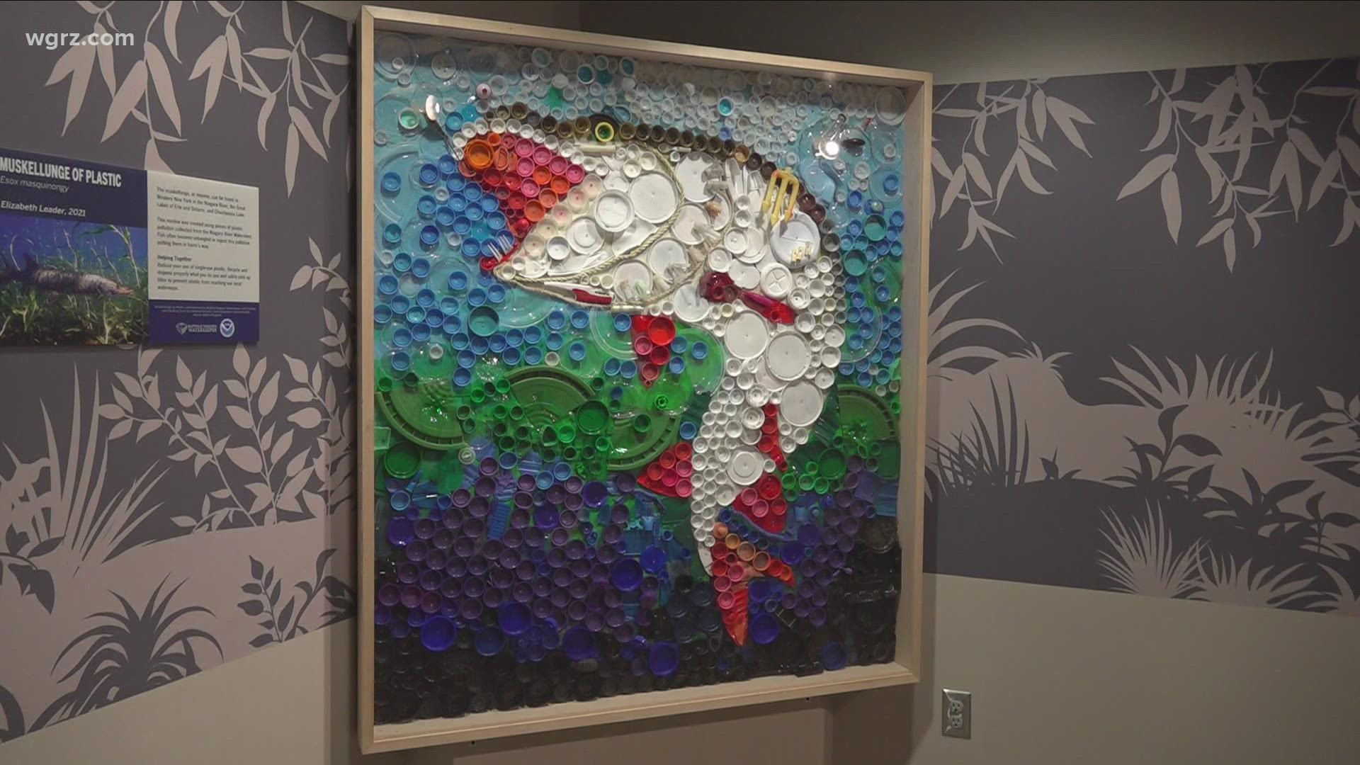 Most Buffalo: 'Danger of plastic pollution through art'