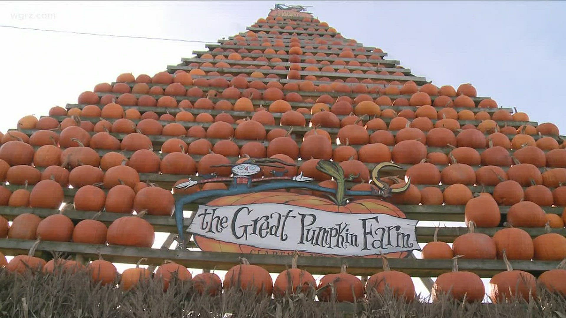 Great Pumpkin Festival Starts Tomorrow