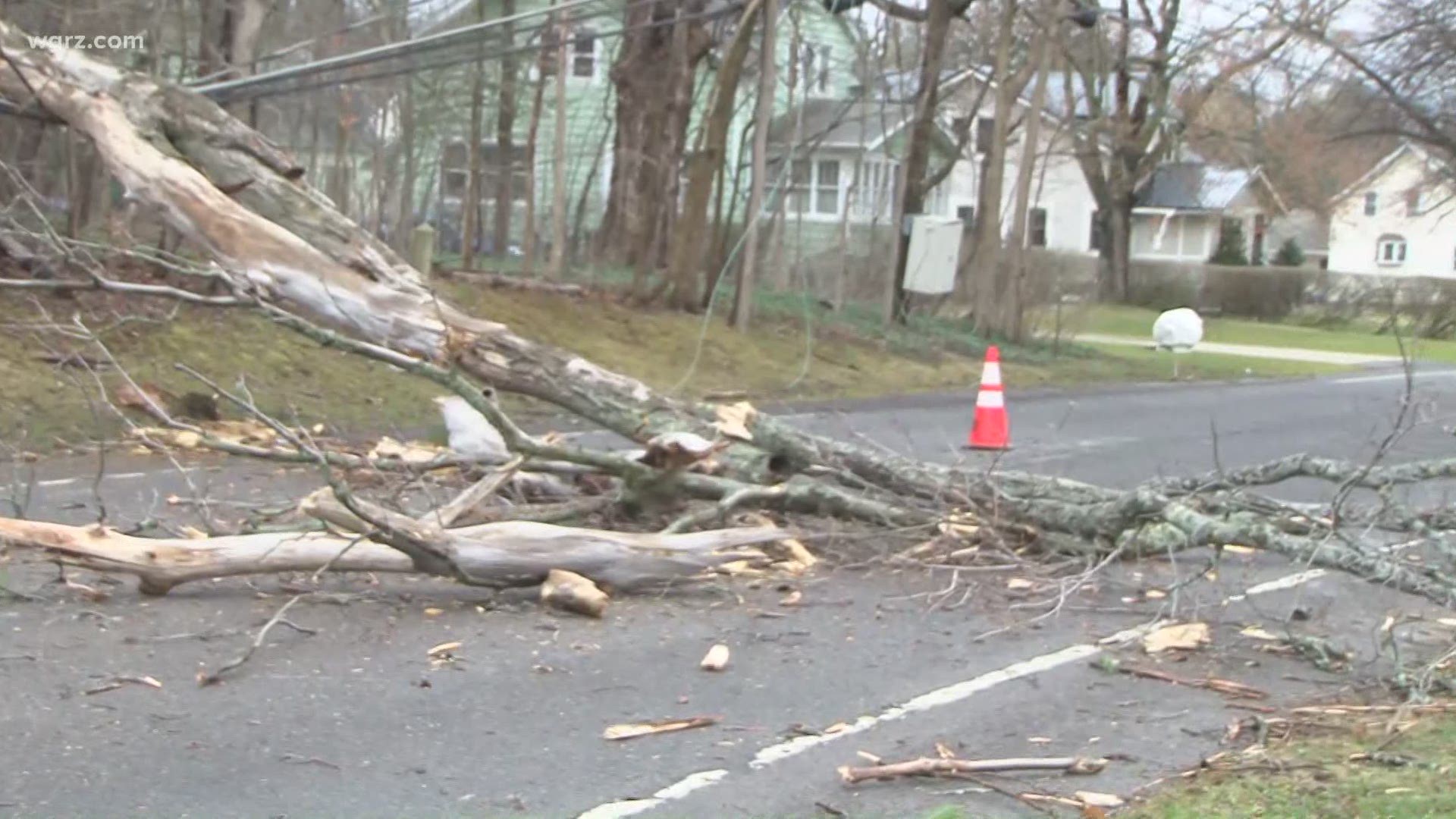 Armor Duells Road tree falls on power line