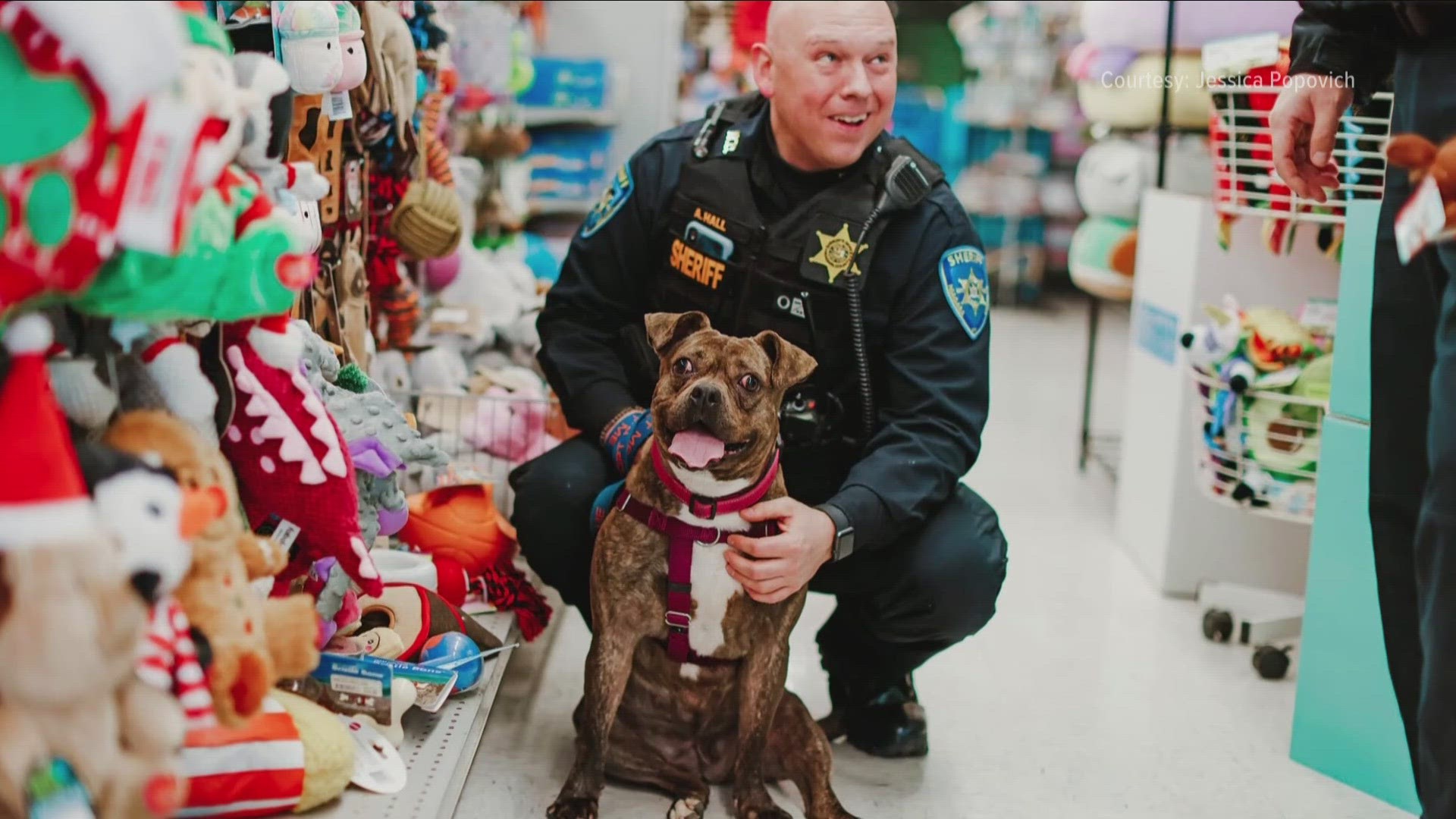 Bugsy shops with a cop after jailbreak