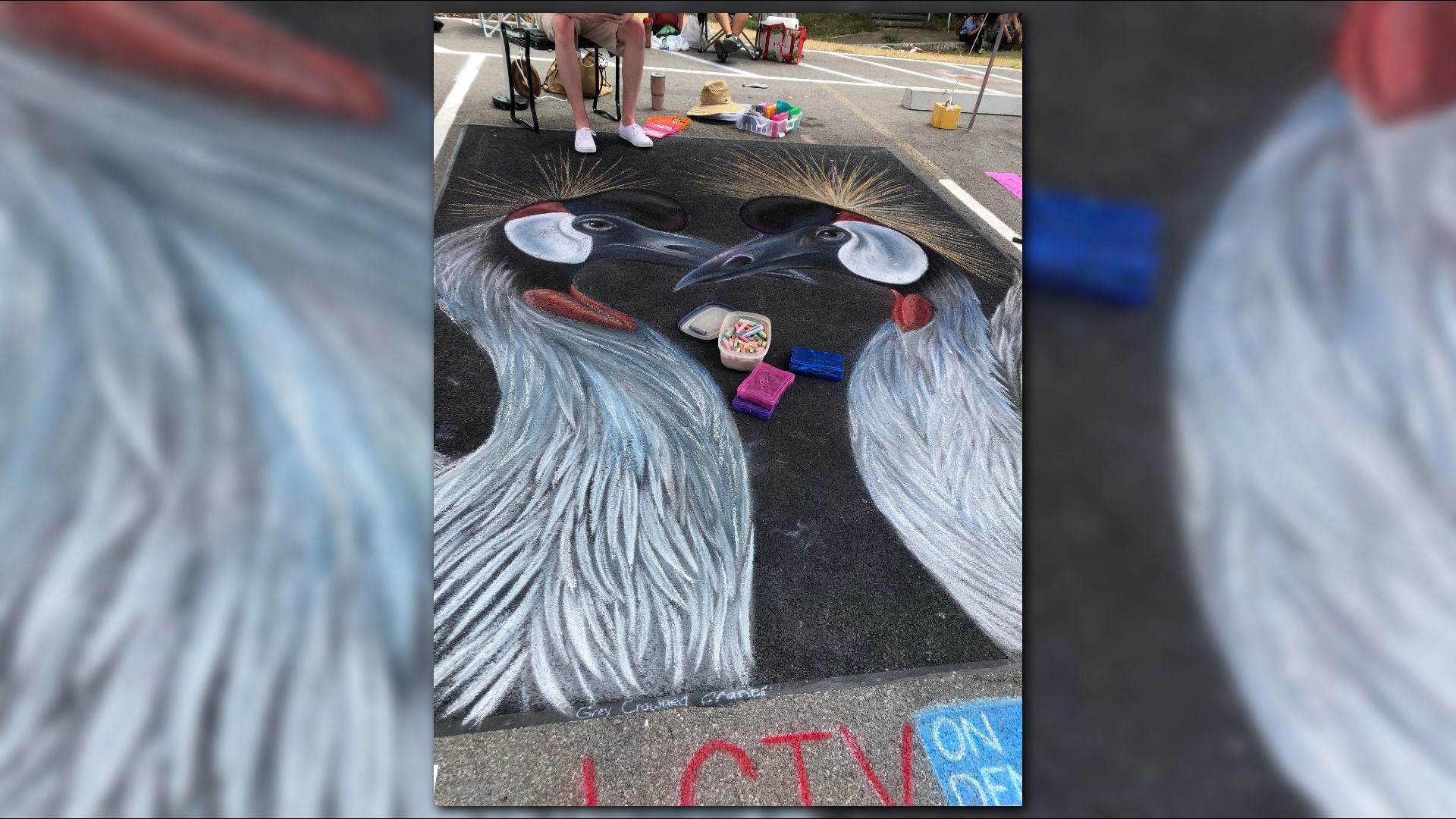 PHOTOS Sweet Chalk Festival in Lockport