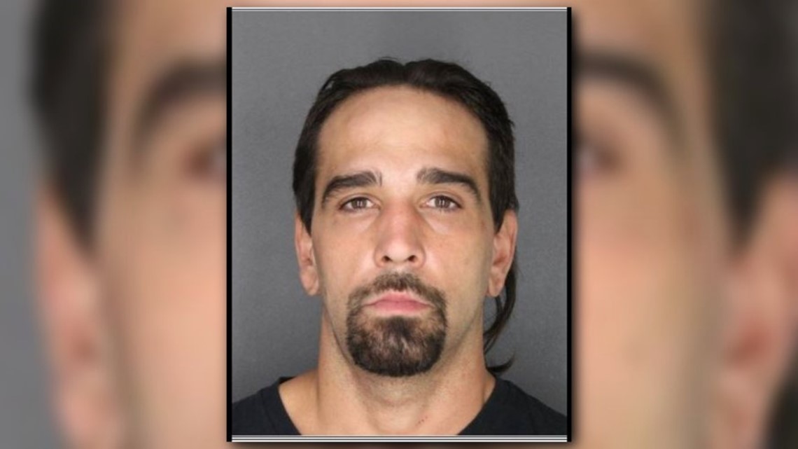 North Tonawanda man pleads guilty in hit and run accident