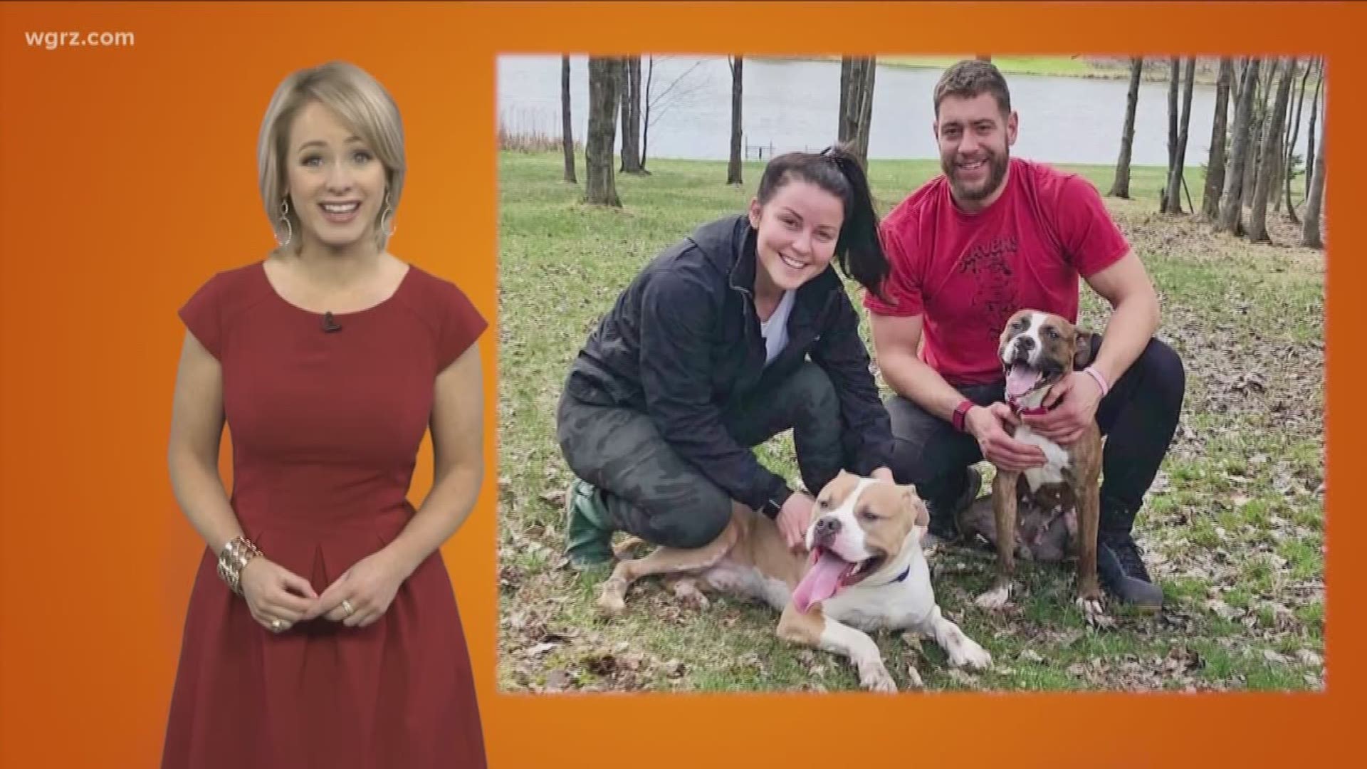 They're giving up their home to give a forever home to a couple of wayward dogs found wandering on the 33.