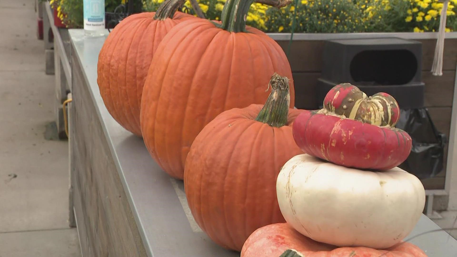 we sent our Lauren Hall to look for some fall fun for the whole family.