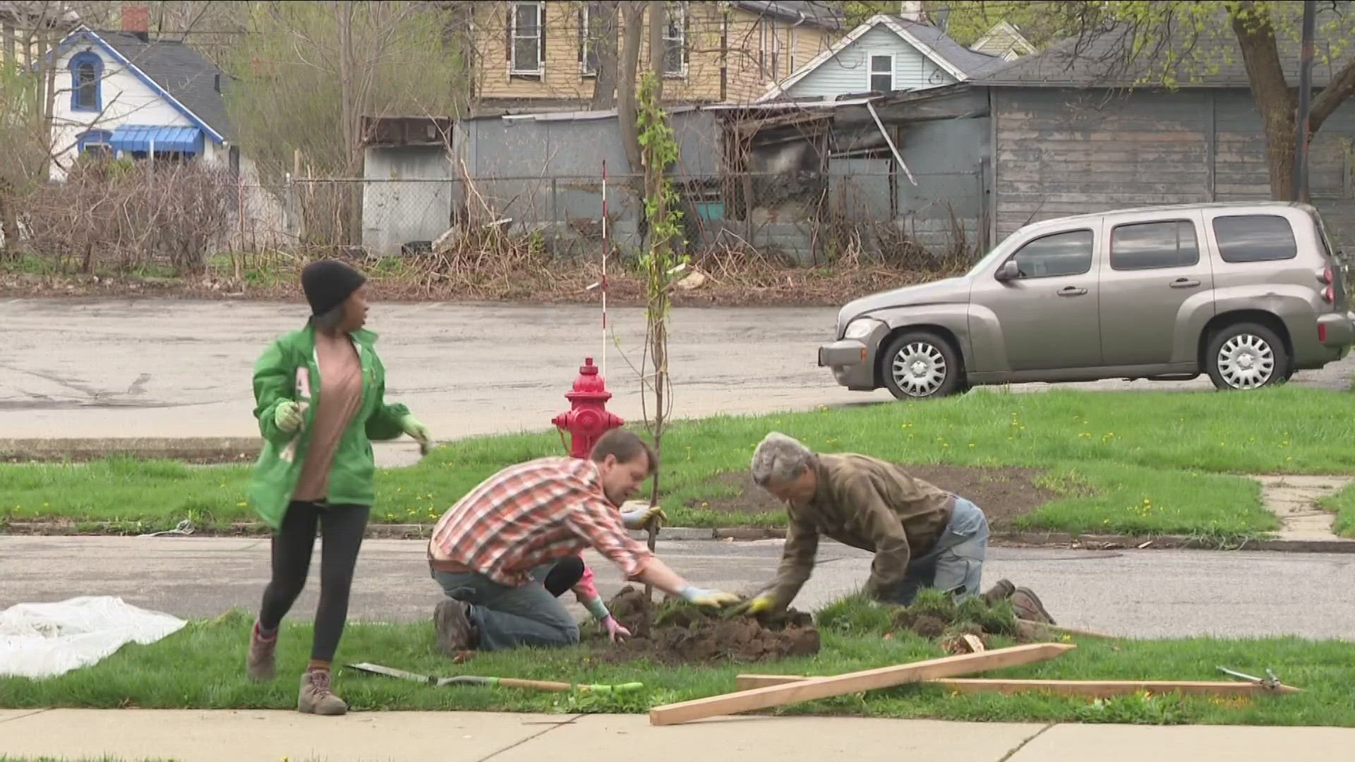 Dozens of volunteers from Re-Tree worked to plant native trees at places such as Firemen's Park, Tifft Nature Preserve, and Concordia Cemetery.