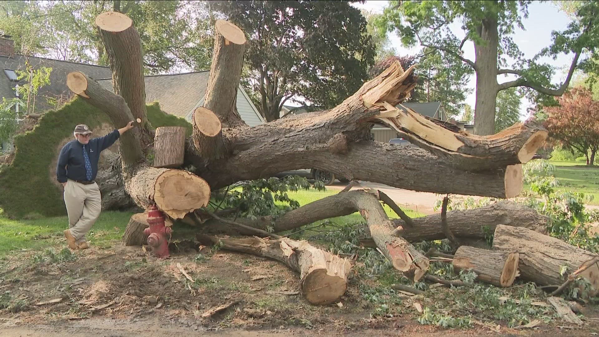 City officials said 18 large trees had to be cleared from roads, including one on Beach Road in the western part of the city, near Lake Erie.