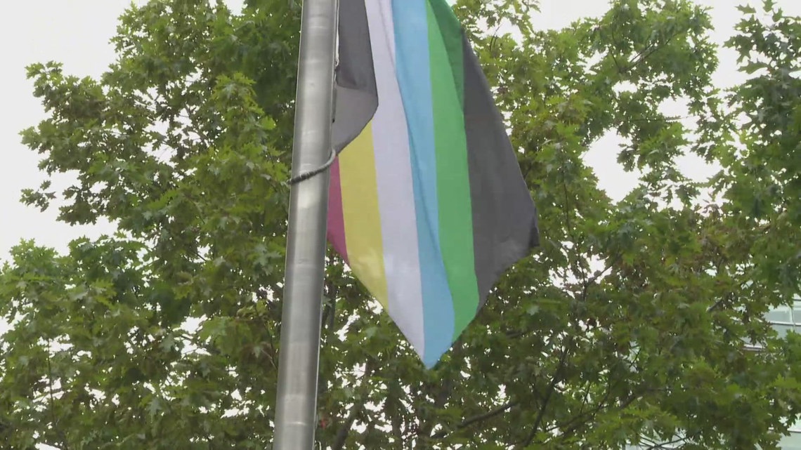 Disability Pride Month flag raising in downtown Buffalo | wgrz.com