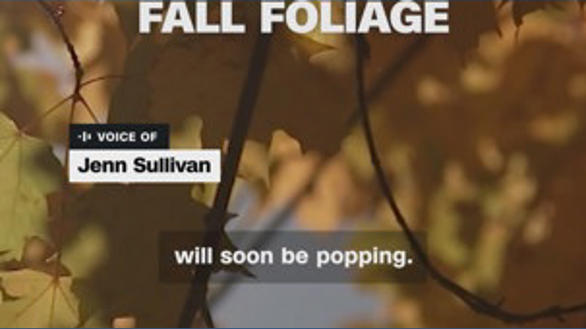 Ffe Tracker Example Where to find the best fall foliage | wgrz.com