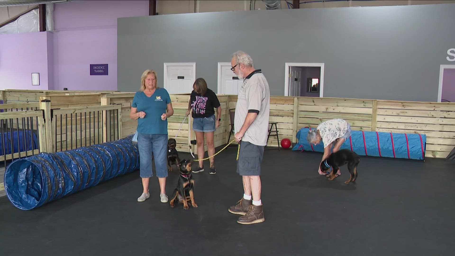 Most Buffalo: 'New dog playground & enrichment center'