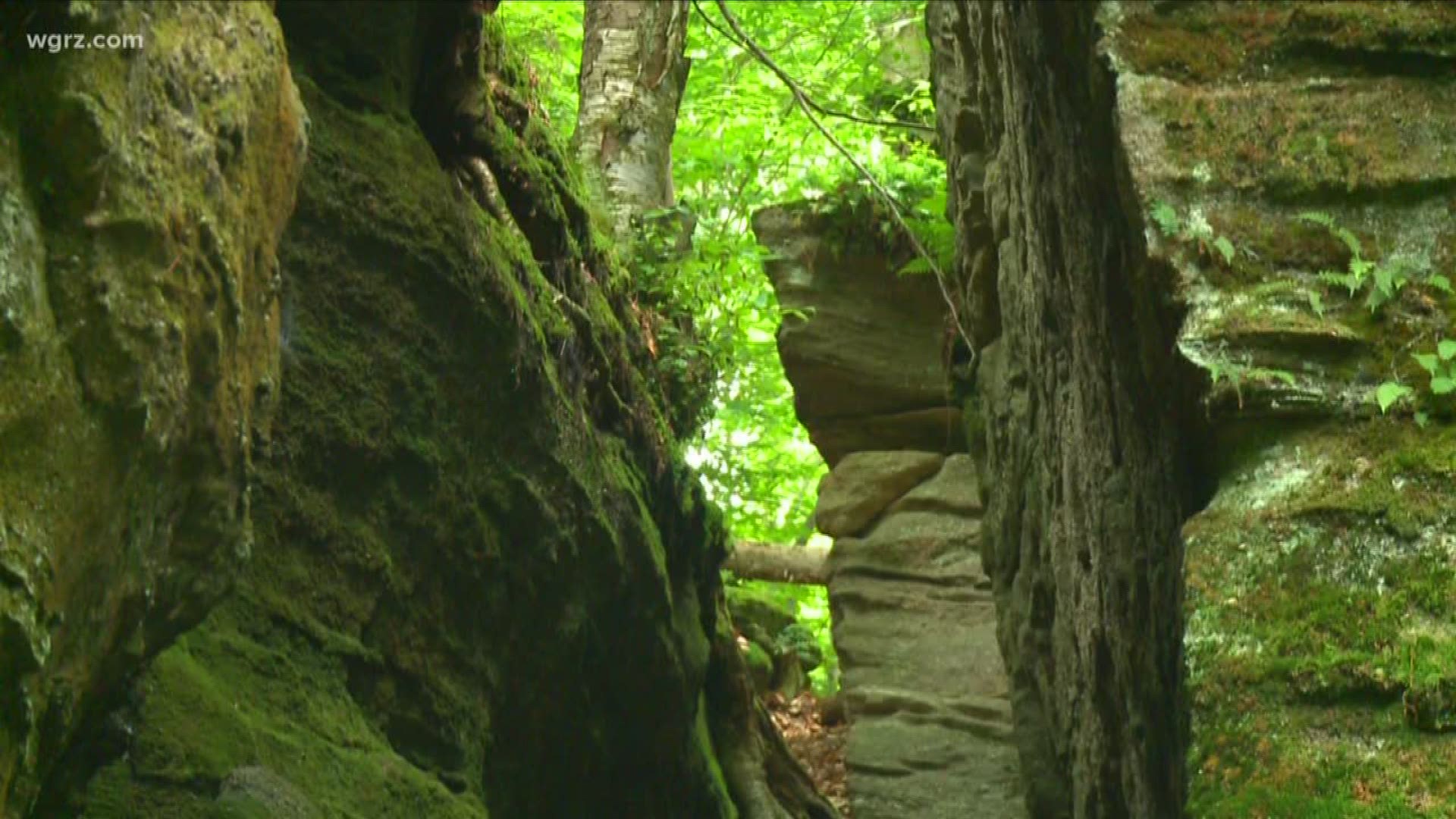 Terry Belke heads to Chautauqua County to visit a forest filled with history. Panama Rocks is this week's 2 the Outdoors.