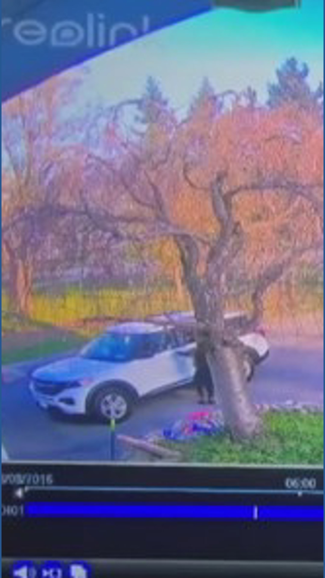 New York leaders debate changes to Raise the Age given car theft ...