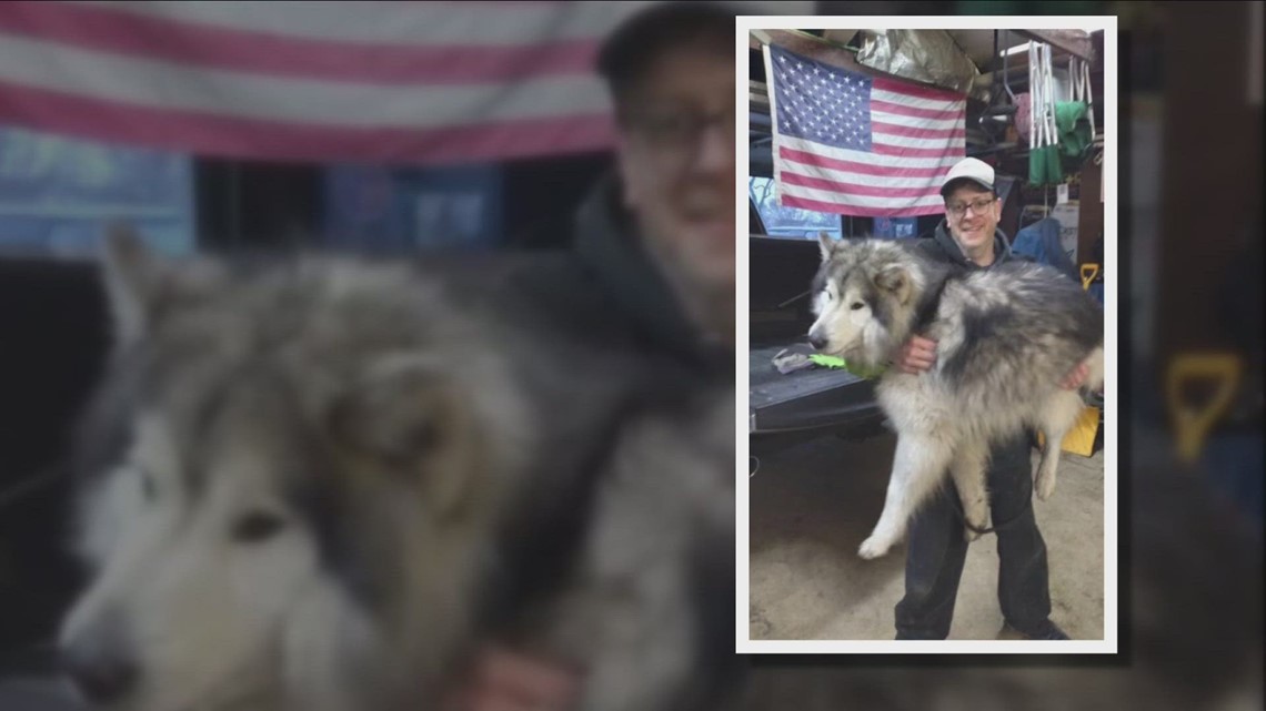 Lancaster Dog Control's seizure of a service dog causes uproar - Vimarsana News